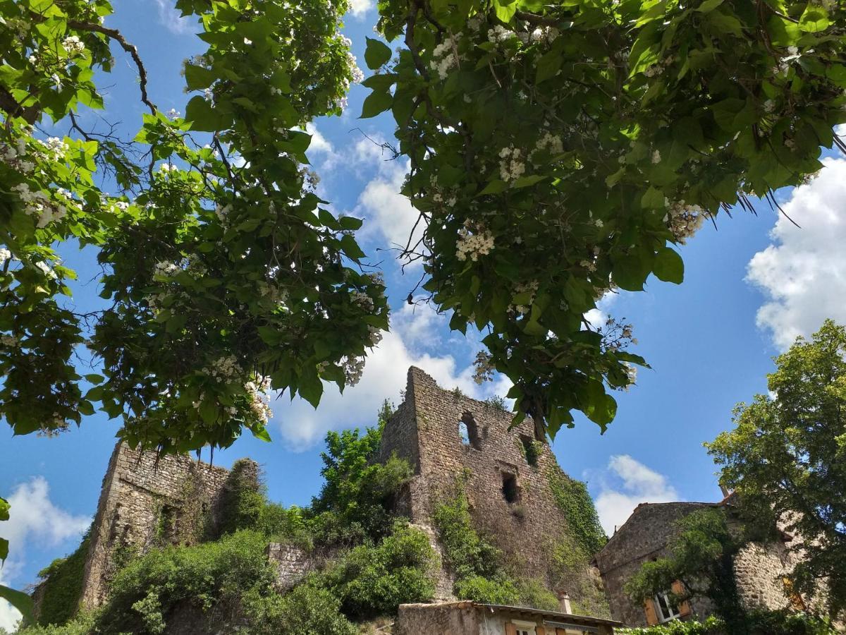 Les Pentes Du Chateau De Retourtour Ламастр Екстериор снимка