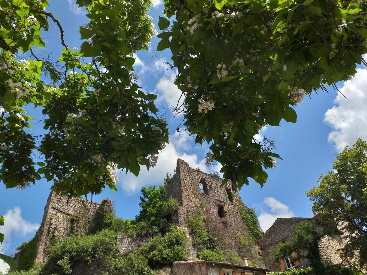 Les Pentes Du Chateau De Retourtour Villa Ламастр Екстериор снимка